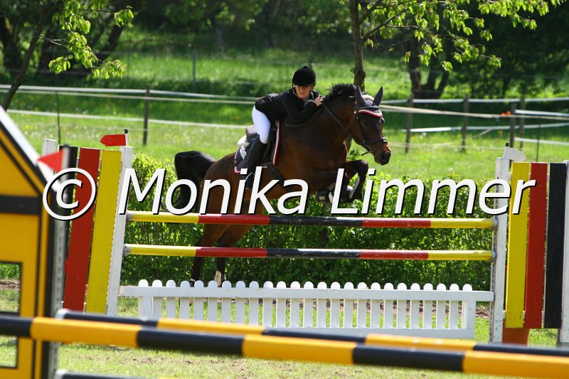 005M7039_Celestino_M Springen x.JPG